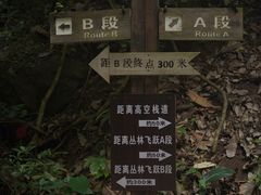-西双版纳原始森林公园