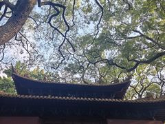 -普陀山风景名胜区-法雨禅寺