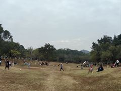 -田心森林公园