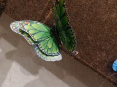 -藏猫猫咖啡主题馆(中央大道店)