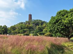-红花山公园