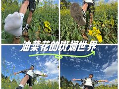-光明小镇欢乐田园