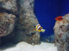 -福州罗源湾海洋世界旅游区