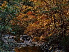 -明堂山风景区
