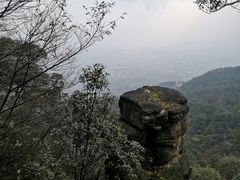 -缙云山景区