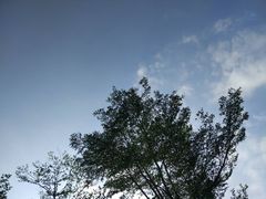 -五通灯塔公园