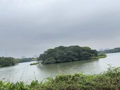 -海珠湖公园