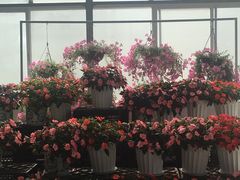 -名花谷生态庄园