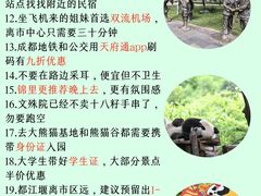 -王婆婆老妈蹄花川菜馆·非物质文化遗产(太古里一店)