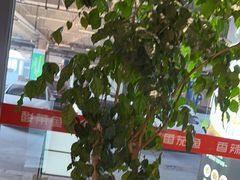 -三天打鱼(奥体店)