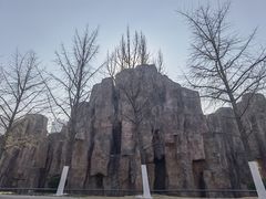 -沙澧河风景区