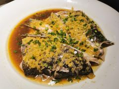 鱼头诱惑-绿茶餐厅(乐峰广场店)