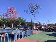 -广东花都香草世界旅游度假区