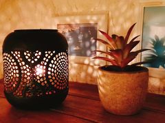 -Sirena海妖日咖夜酒