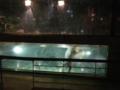 -清迈夜间动物园