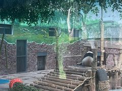 -黔灵山公园