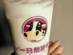 -一只酸奶牛(来福士店)
