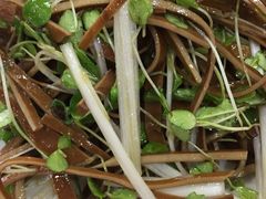 -中国传统伊兰拉面(石景山店)