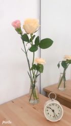 点击看大图 -Peach Yoga桃桃瑜伽塑形馆