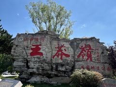 -王莽岭风景区