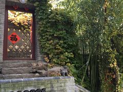 -老张烤羊(王哥庄店)