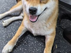 -博纳私人订制健身(中集美兰湖店)
