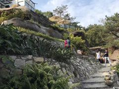 -厦门园林植物园-植物园滴水山房