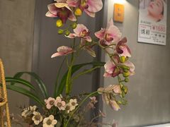 -施奈儿.洗头頭療.按摩SPA.采耳(上梅林店)