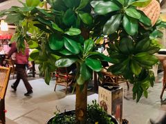 -云来居素食馆(南山店)