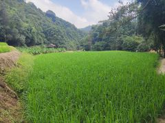 -世间香境·七溪地