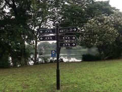 -宜兴龙背山森林公园