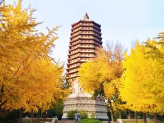 -玲珑塔公园