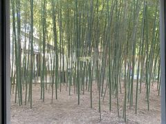 -原怡园面馆(拙政园店)