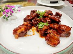 -丁老爷子苏香圆