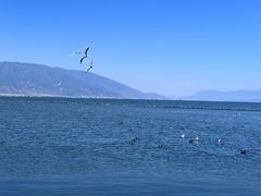 -大理洱海