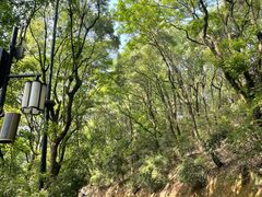 -岳麓山风景名胜区