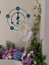 -头道汤头疗养生馆