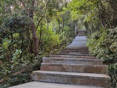 -小南山公园
