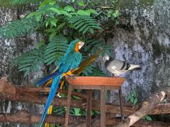 -清迈夜间动物园