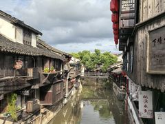 -陈妈妈的店-下沙灌汤烧卖(新场大街店)