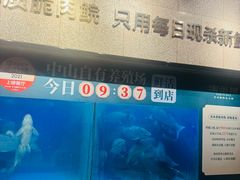 -淘米捞·米汤脆鲩鱼火锅(福田皇岗店)