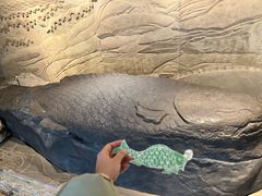 -白鹤梁水下博物馆