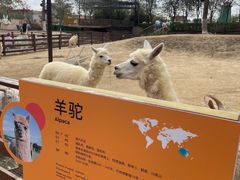 -盈香心动乐园