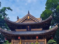 -上海东林寺(金山区)