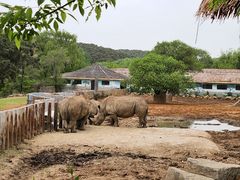 -沈阳森林动物园