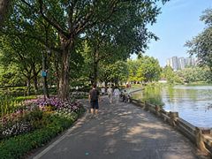 -成都南湖公园