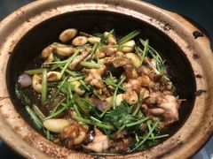 -煲煲好(朝阳门店)