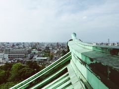 -名古屋城