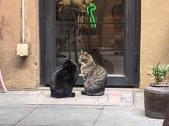 -嘉善老市