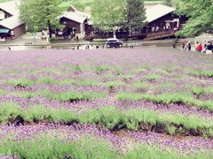 -富田农场